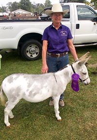 Grand Champion Jennet at the Darke County Fair 2015 Donkey and Mule Show